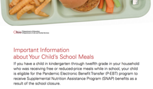 Summer Meals: Pandemic Electronic Benefit Transfer (P-EBT) Program
