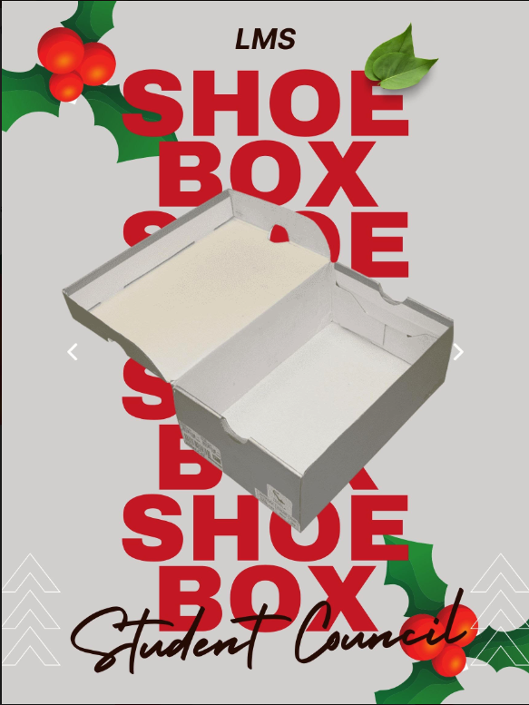 lms shoe box