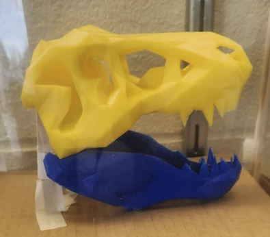 A picture of a 3D created T Rex skull